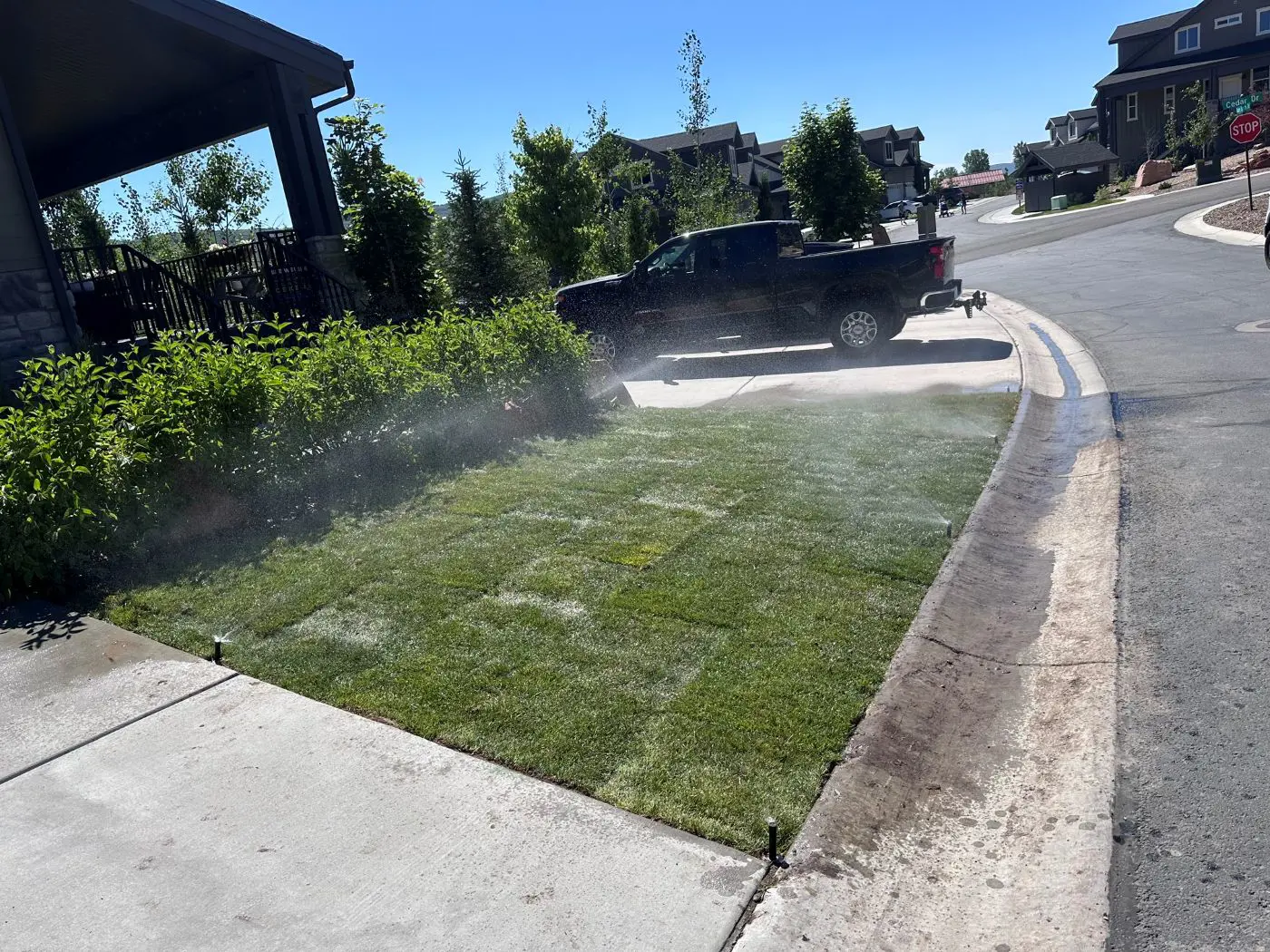 Landscape irrigation and planting installation